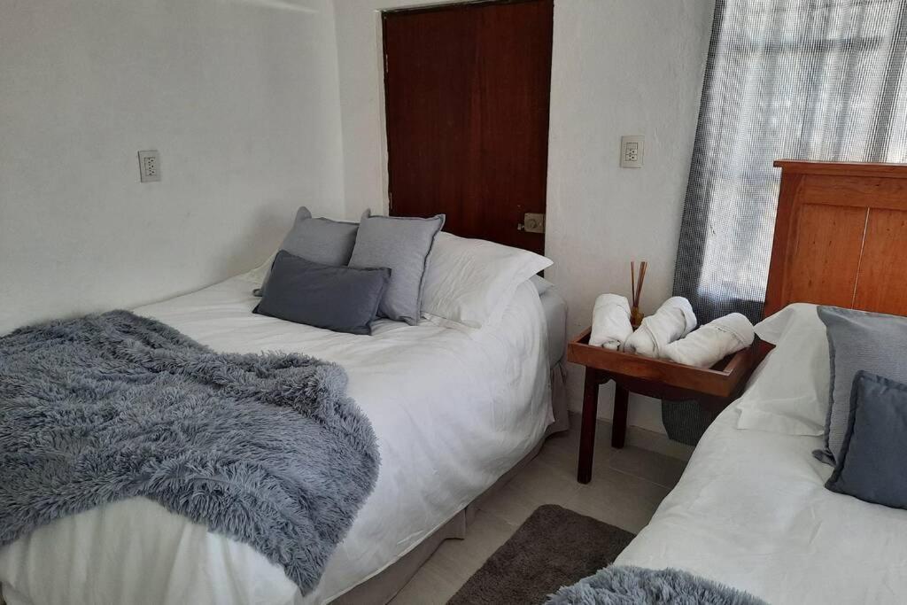 Cozy Apartment Downtown Mazatlan Luaran gambar